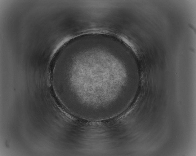 X0000091921310200709191332