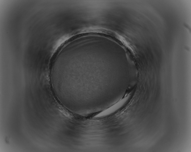 X0000091921312200709191332