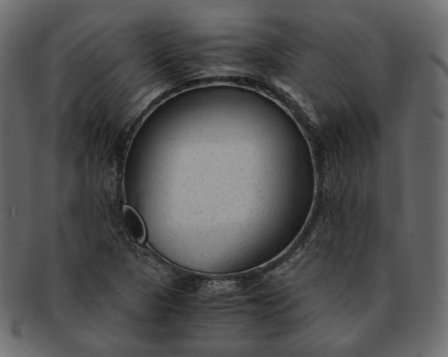 X0000091921313200709191332