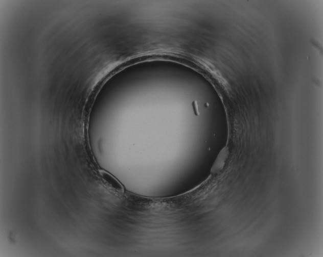 X0000091921316200709191332