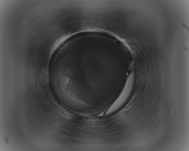 X0000091921319200709191332