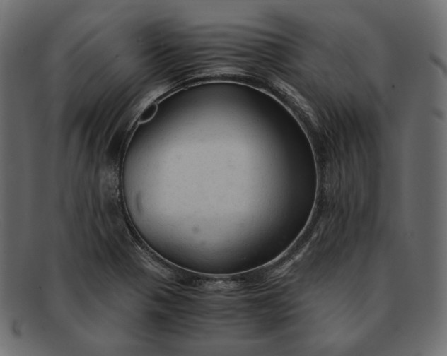 X0000091921321200709191332