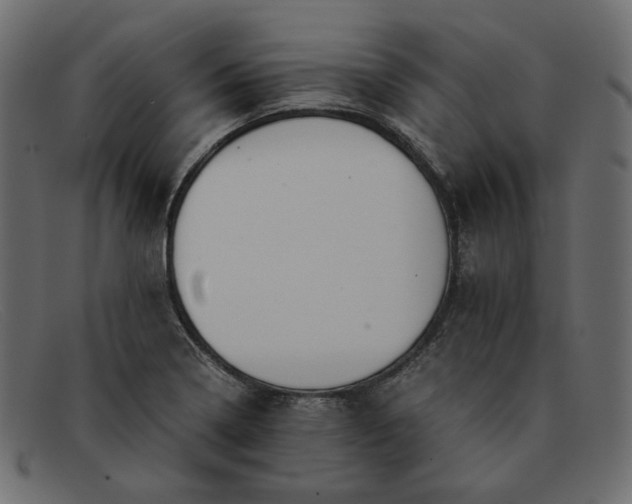 X0000091921322200709191332