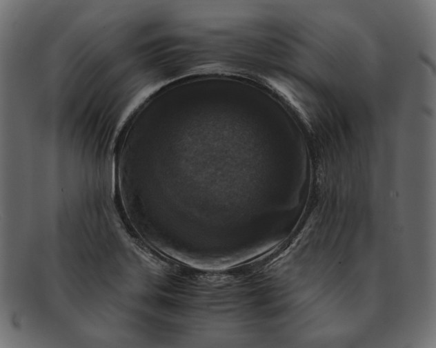 X0000091921323200709191332
