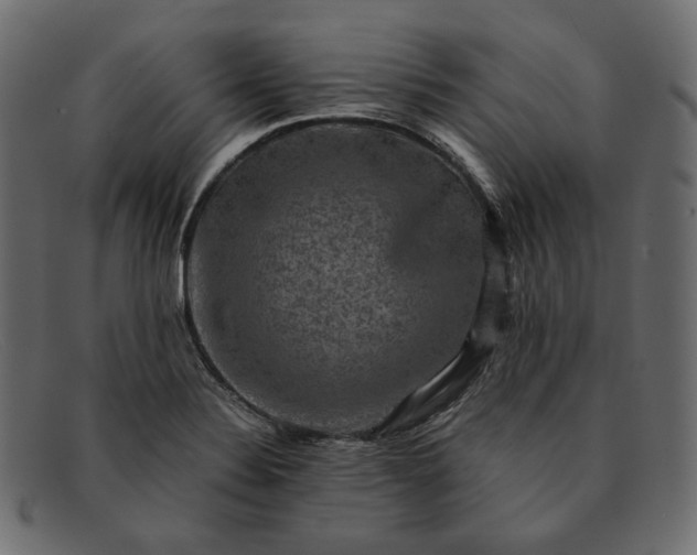 X0000091921324200709191332