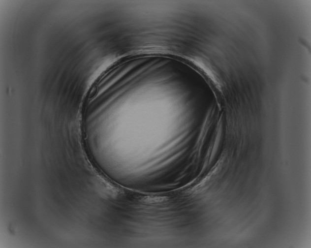 X0000091921325200709191332