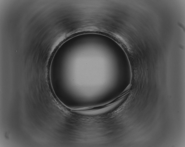 X0000091921326200709191332
