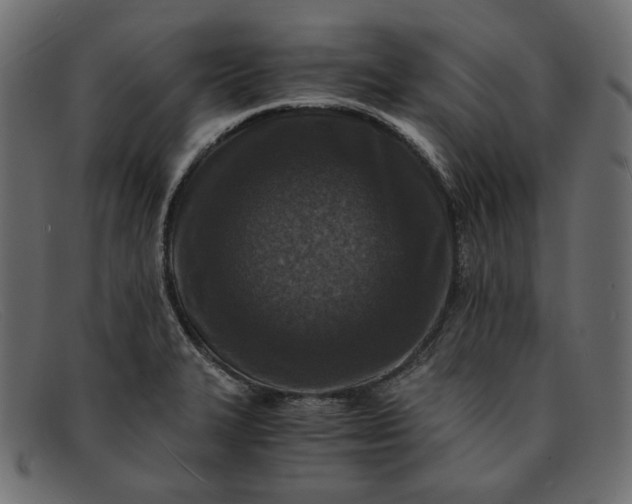 X0000091921327200709191332