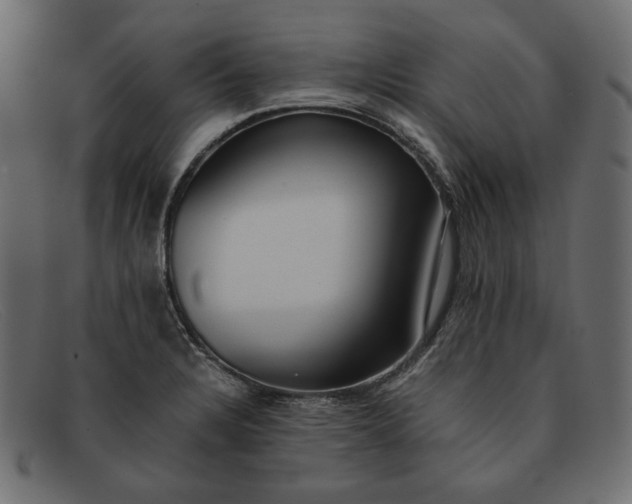 X0000091921328200709191332