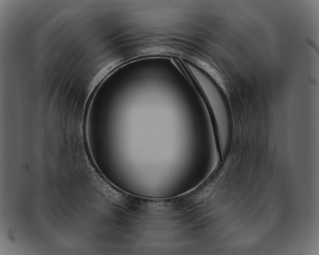 X0000091921330200709191332