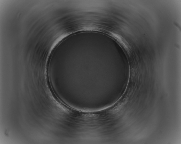X0000091921331200709191332