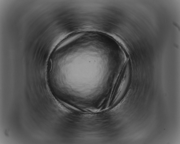 X0000091921333200709191332