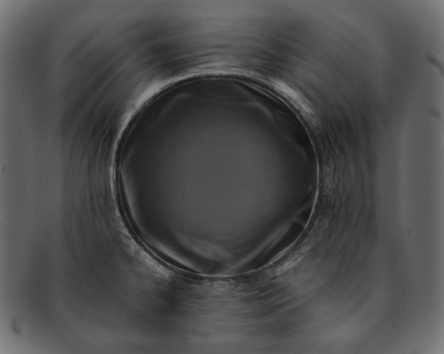 X0000091921334200709191332