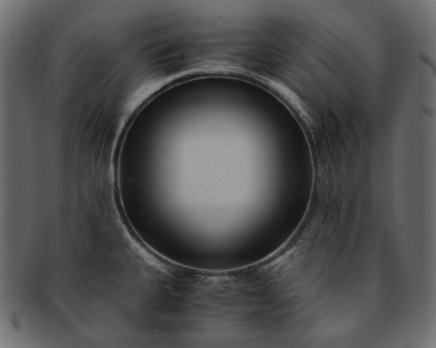 X0000091921335200709191332