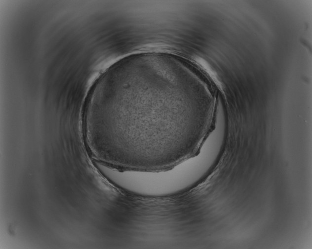 X0000091921336200709191332