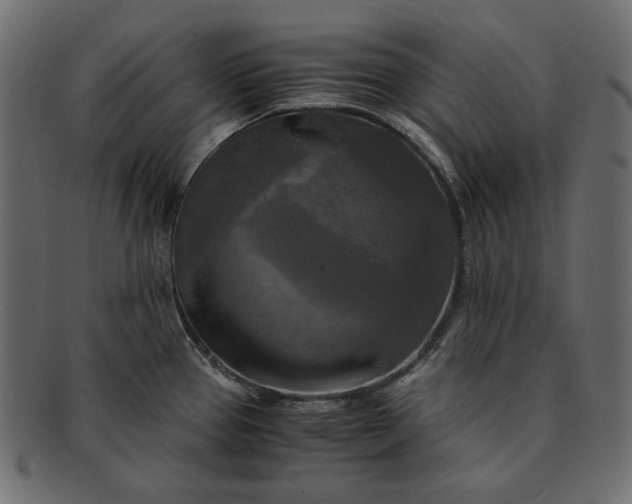 X0000091921337200709191332