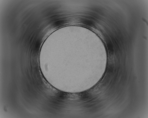 X0000091921338200709191332