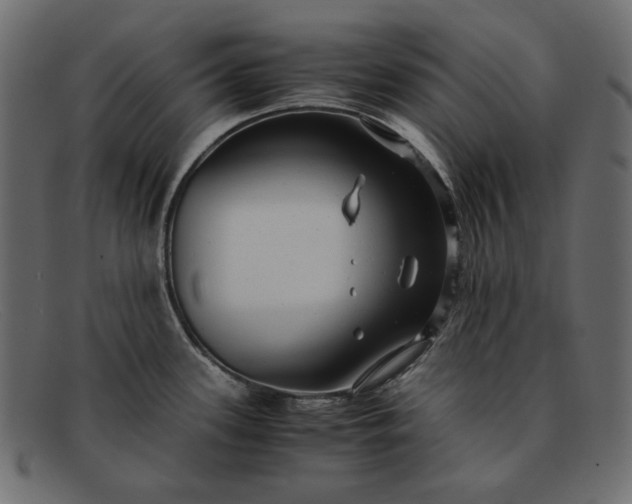 X0000091921339200709191332