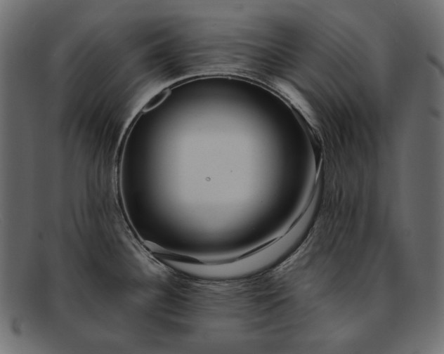 X0000091921340200709191332
