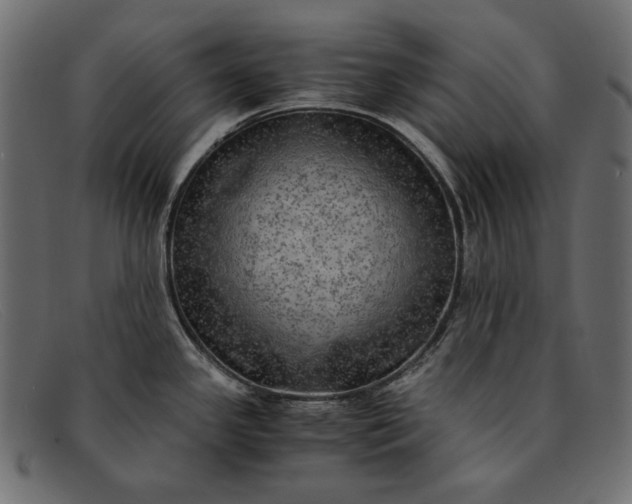 X0000091921341200709191332