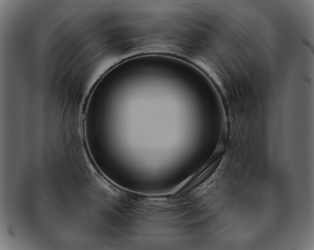X0000091921342200709191332