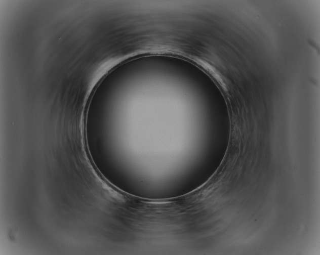 X0000091921343200709191332