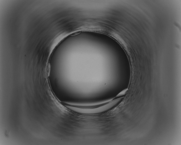 X0000091921344200709191332