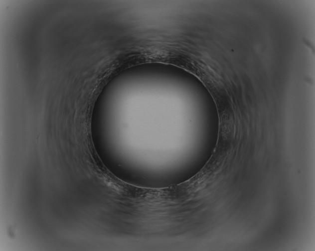 X0000091921345200709191331