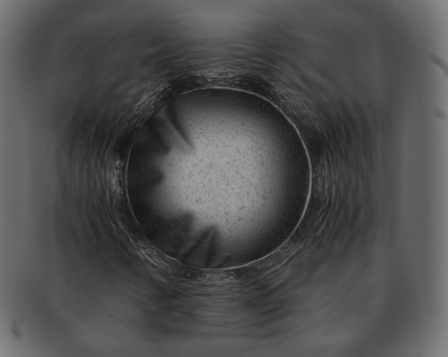 X0000091921346200709191331