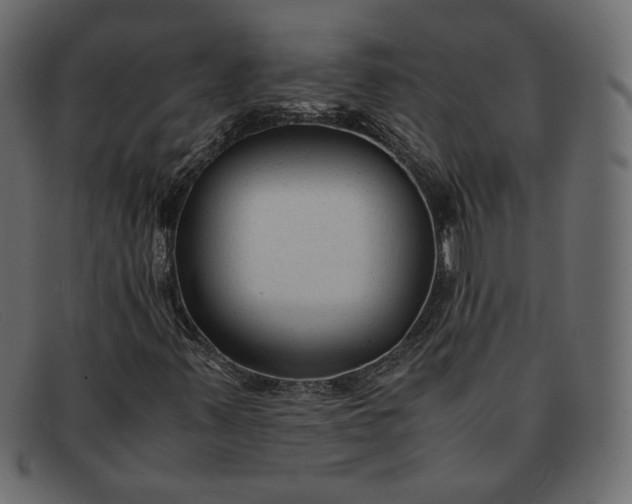 X0000091921347200709191331