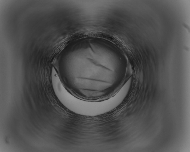 X0000091921348200709191331