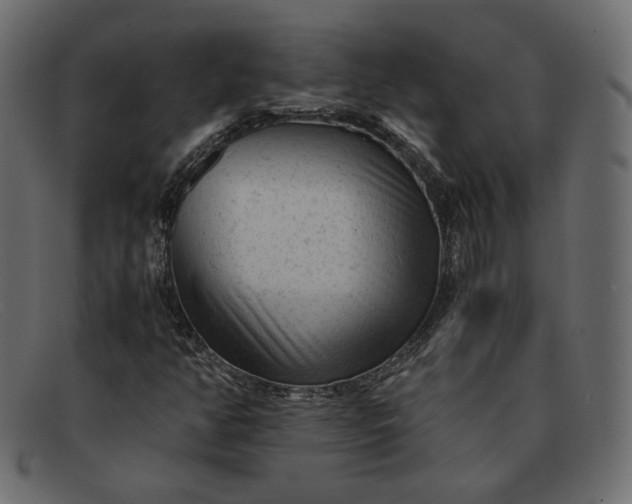 X0000091921350200709191331