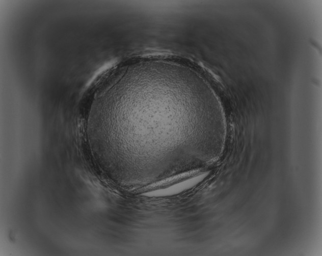 X0000091921351200709191331