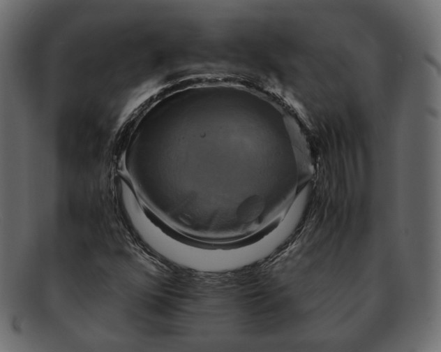 X0000091921352200709191331