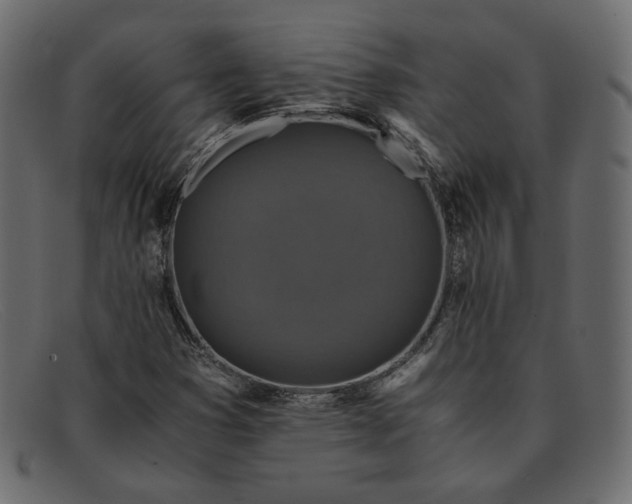X0000091921353200709191331