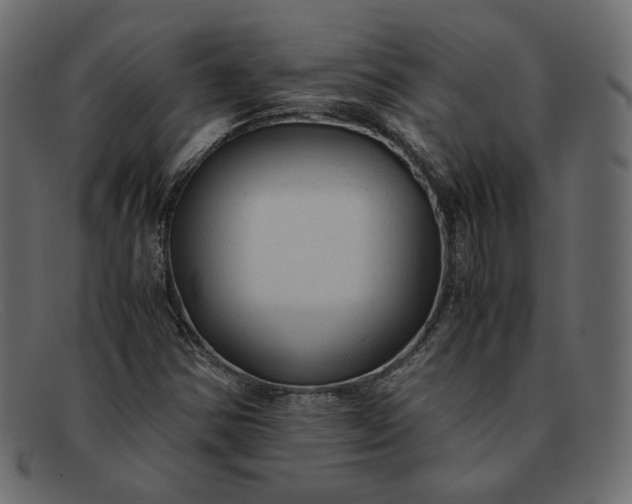 X0000091921354200709191331