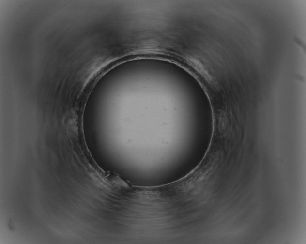 X0000091921356200709191331