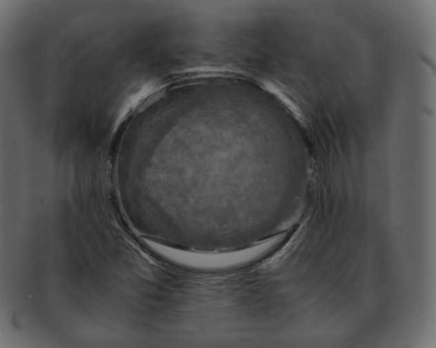 X0000091921357200709191331