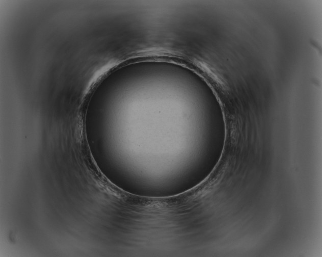 X0000091921358200709191331