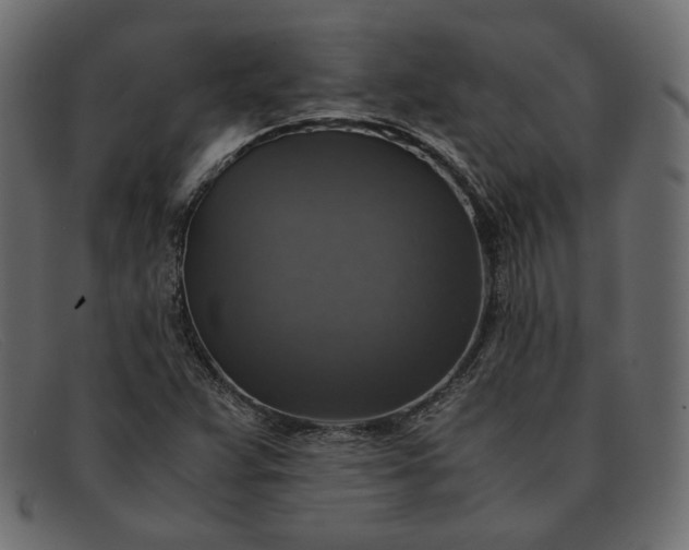 X0000091921359200709191331