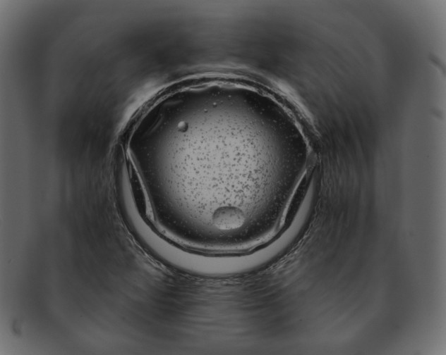 X0000091921360200709191331