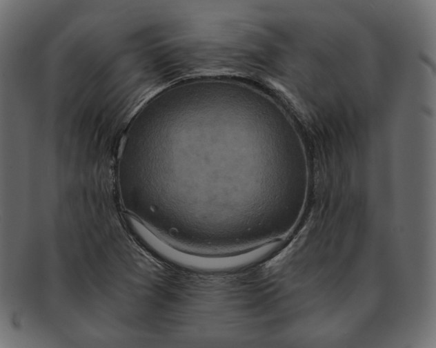 X0000091921361200709191331