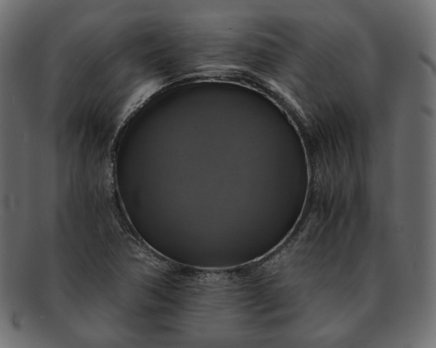 X0000091921362200709191331