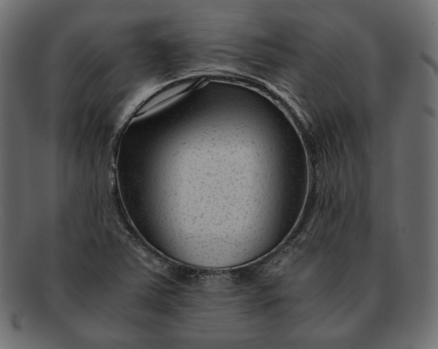X0000091921363200709191331