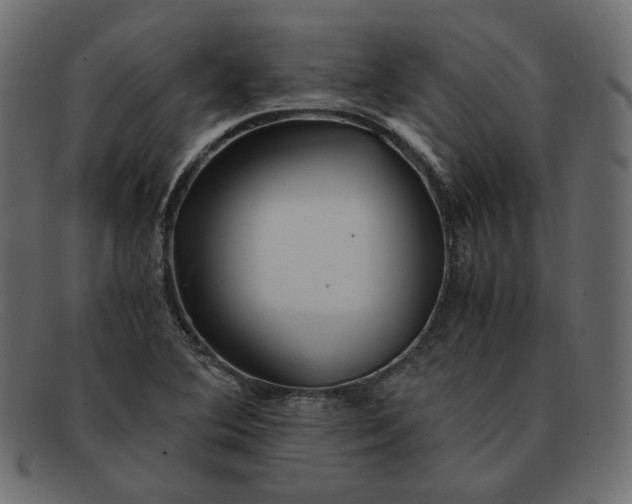 X0000091921364200709191331