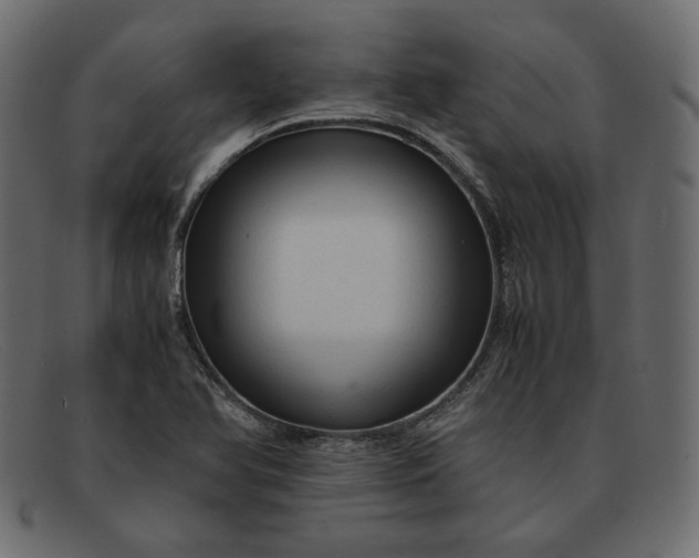 X0000091921366200709191331