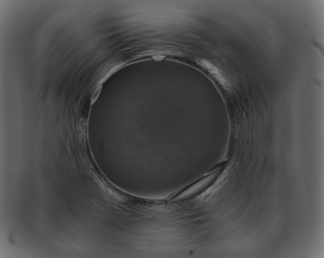 X0000091921369200709191331