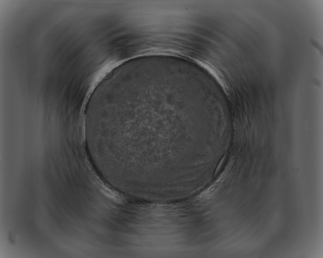 X0000091921371200709191331