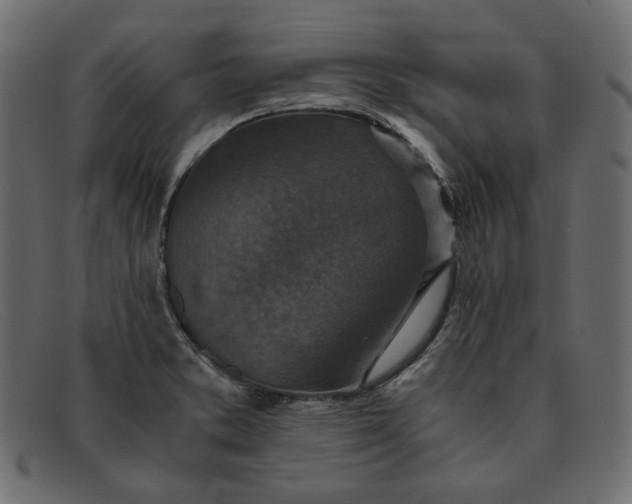 X0000091921373200709191331