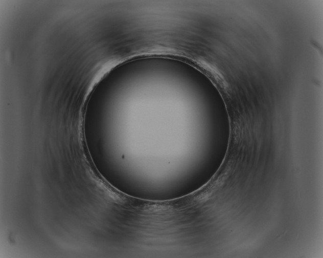X0000091921374200709191331